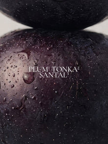 Black Plum