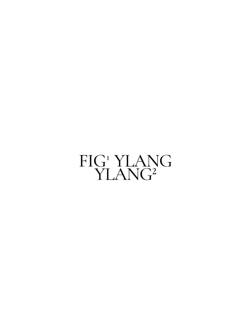 Fig Tree