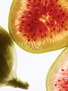 Fig Tree