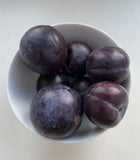 Black Plum