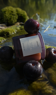 Black Plum