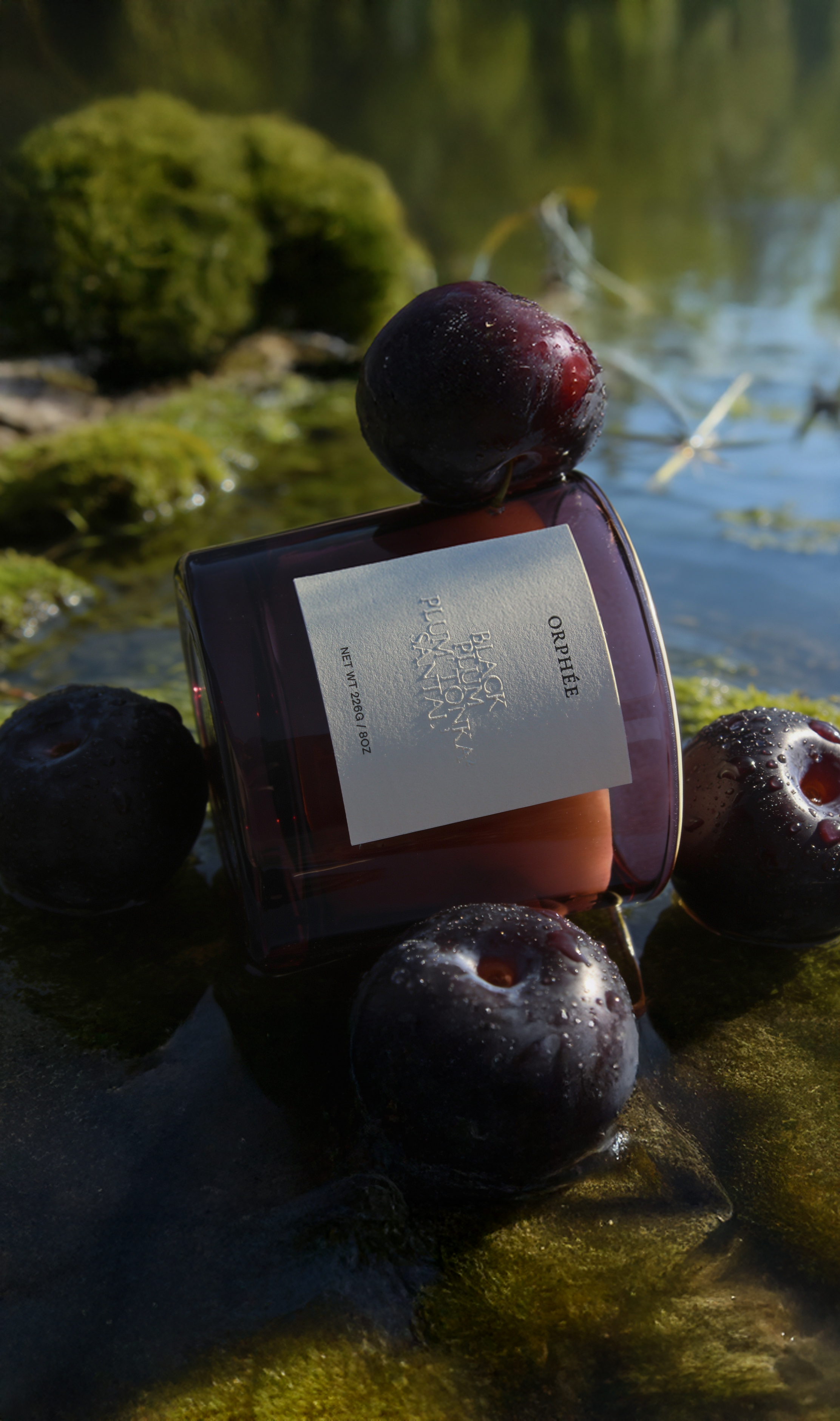 Black Plum